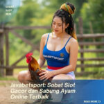 Javabetsport- Sobat Slot Gacor dan Sabung Ayam Online Terbaik